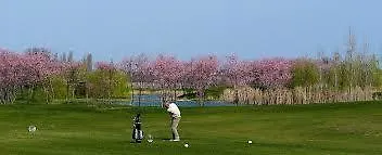 住宿加早餐酒店 A Casa Di Gabri 圣乔瓦尼-因马里尼亚诺