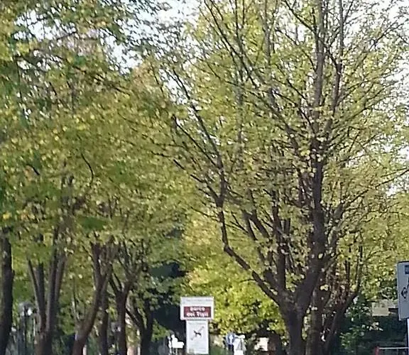 B&B A Casa Di Gabri 산 조반니 마리그나노